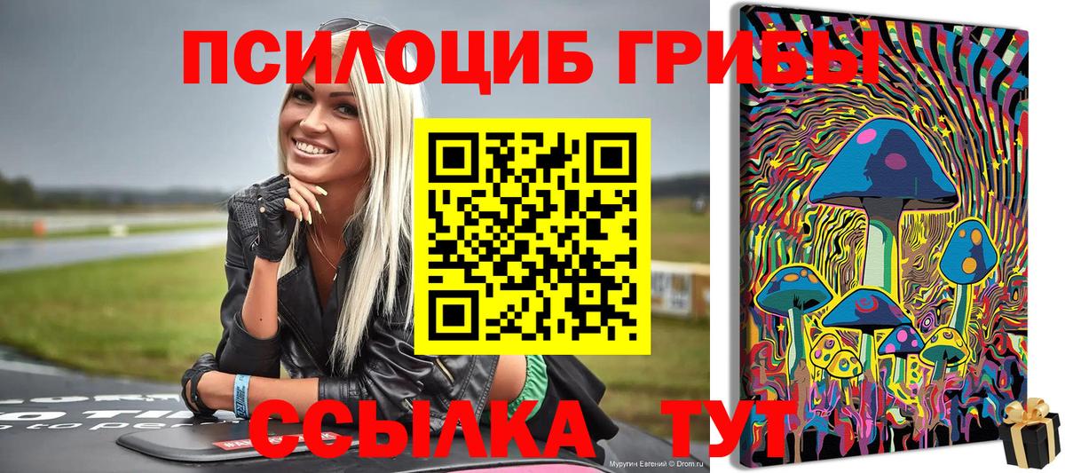 купить  сайты  Псилоцибиновые грибы GOLDEN TEACHER  Вход с VPN  Белорецк 