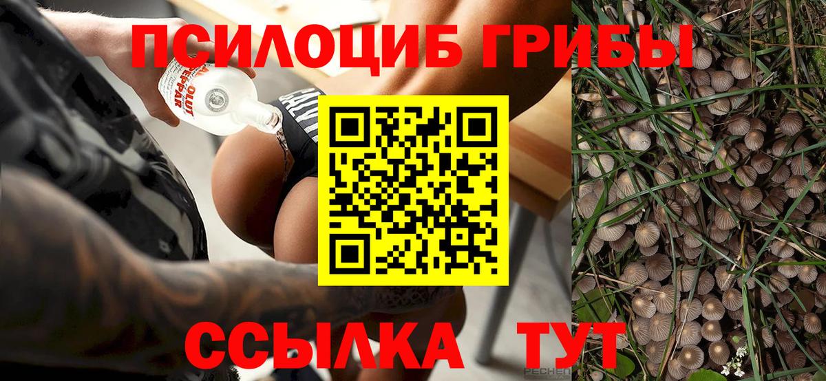 Галлюциногенные грибы мухоморы Белорецк
